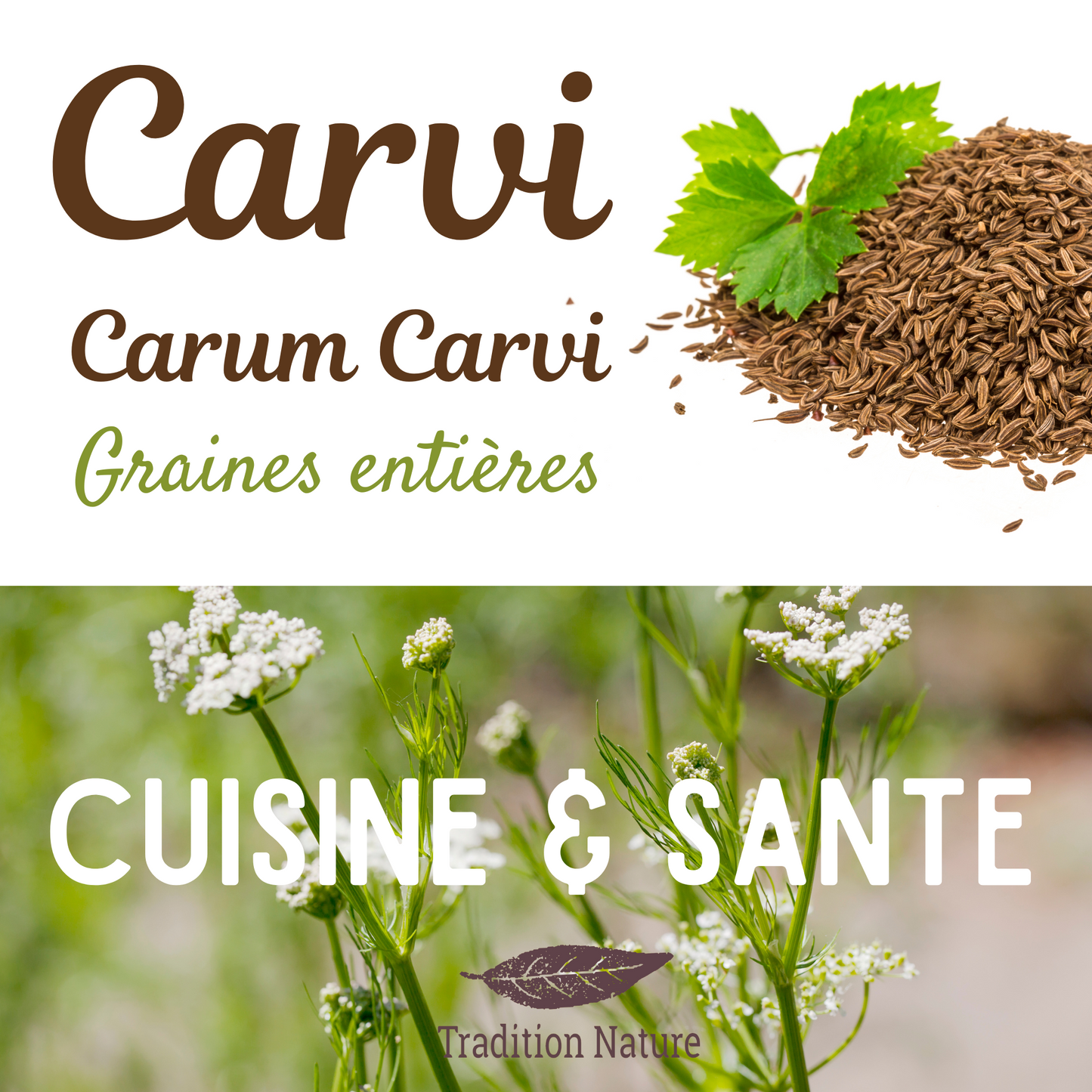 Carvi graines entières