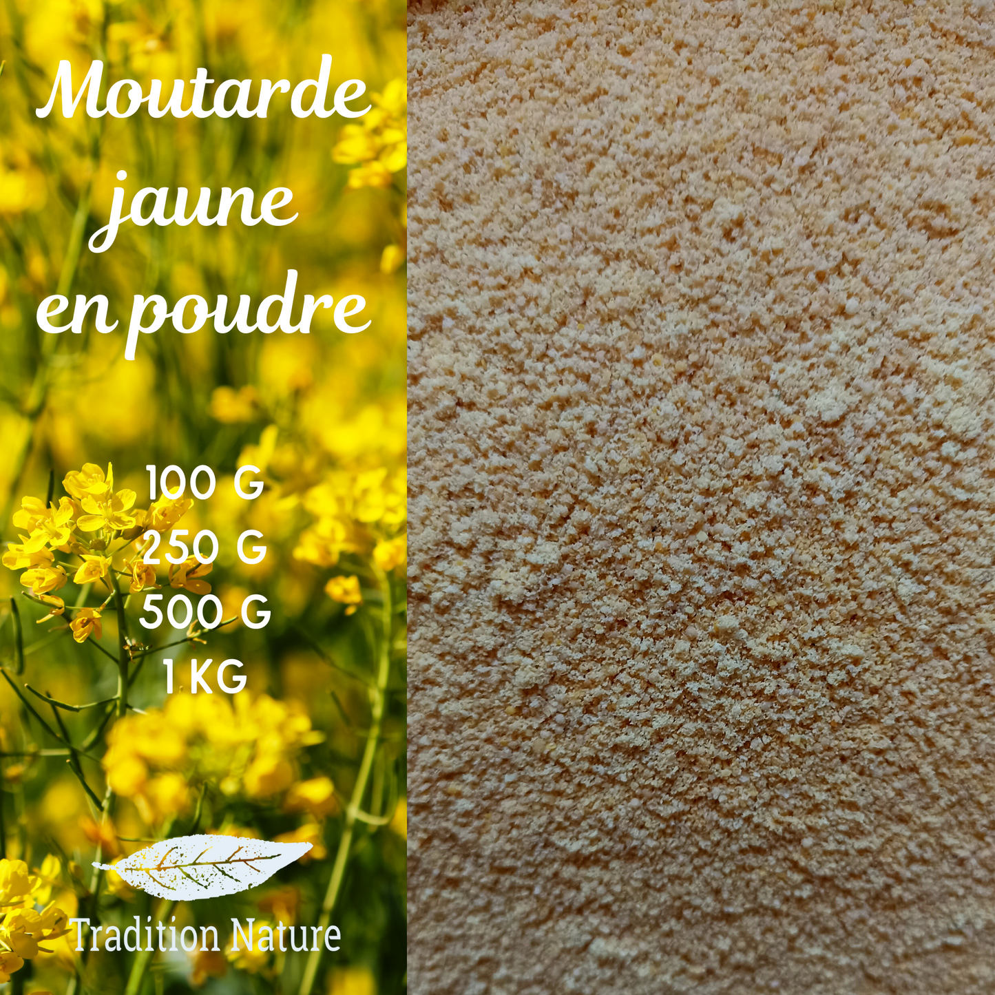 Moutarde jaune en poudre | vrac 100 g 250 g 500 g
