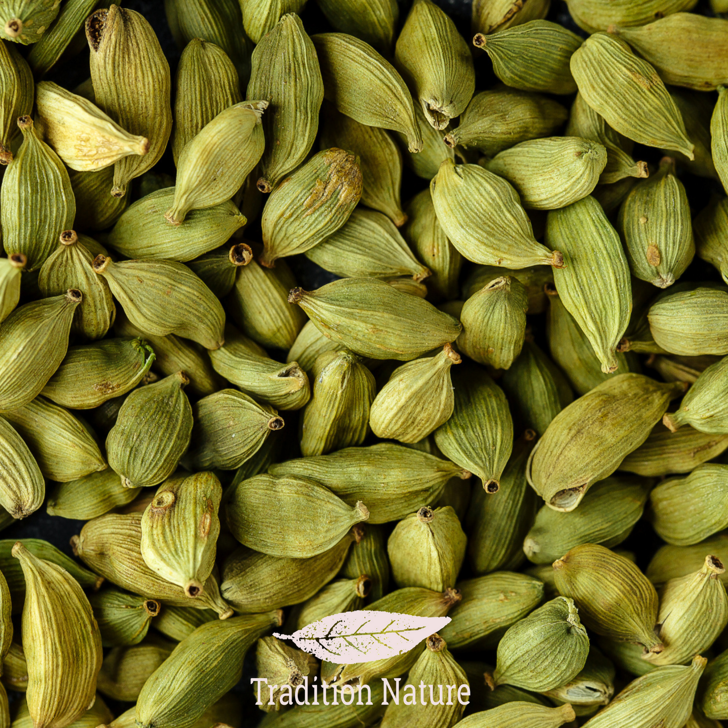 Cardamome verte de l'Inde | 50 g à 500 g