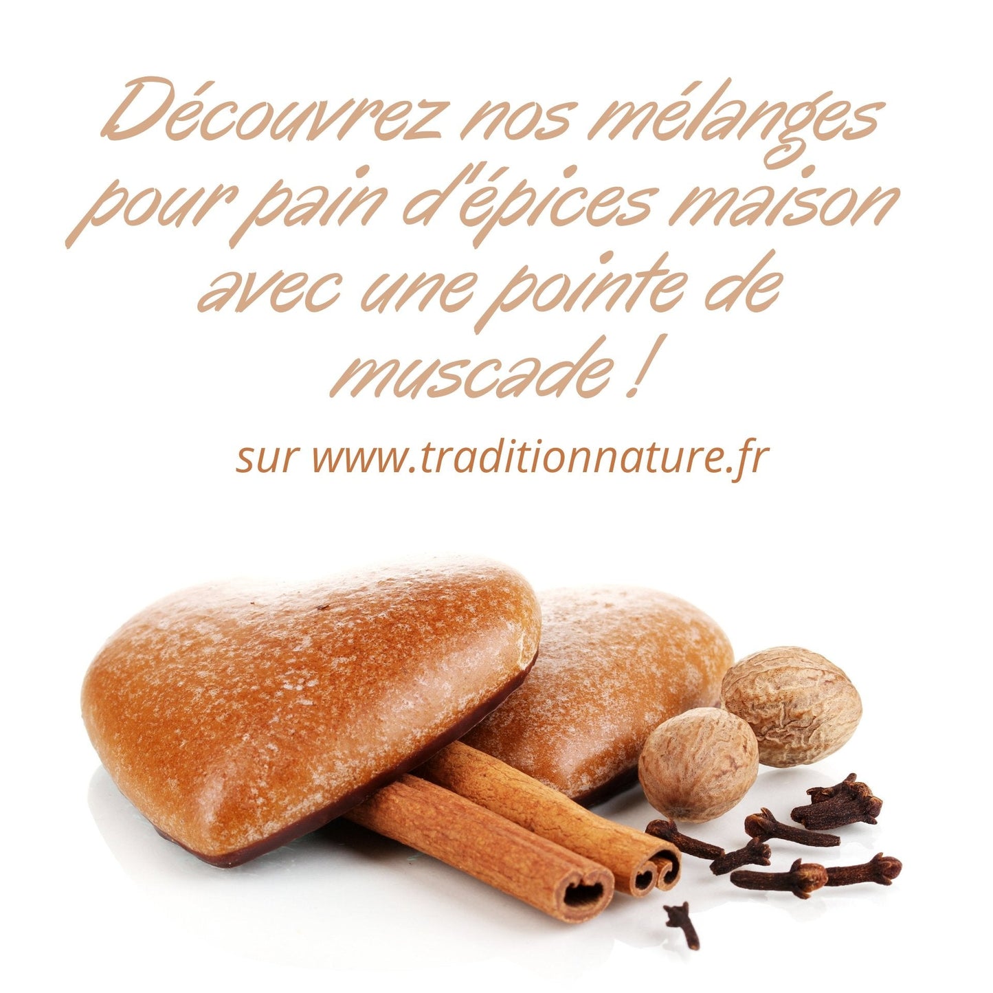 Muscade noix entière - Tradition Nature-Bienfaits - Utilisations