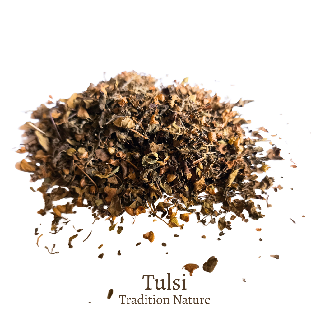 Tulsi tisane | Basilic sacré frotté — Moutarde & Cie