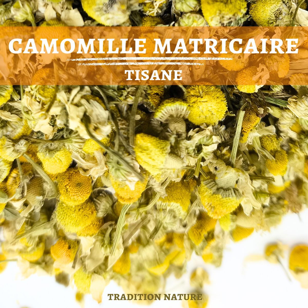 Camomille matricaire tisane — Moutarde & Cie