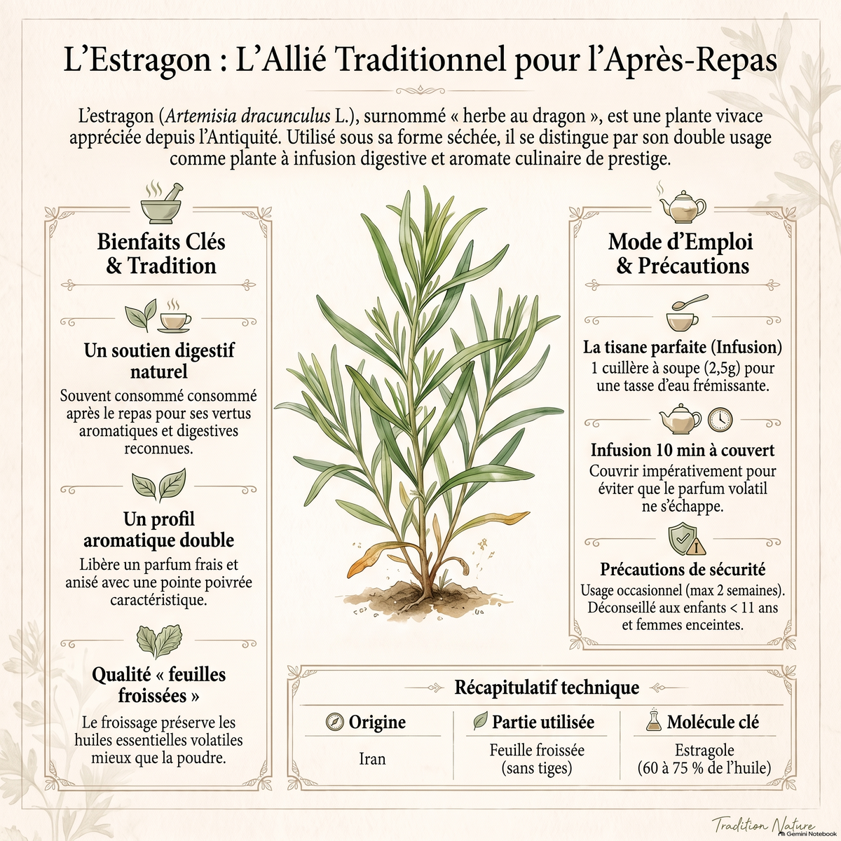 Estragon tisane | Feuilles coupées — Moutarde & Cie