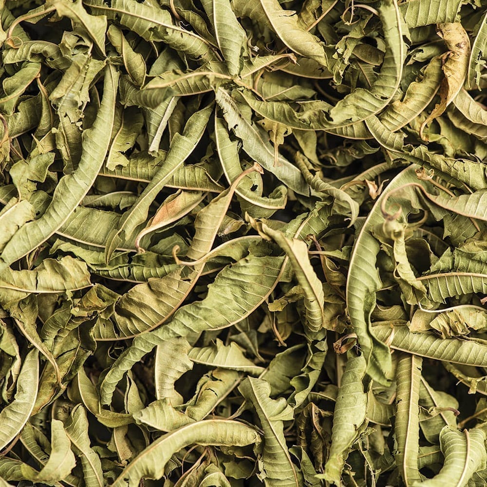 Verveine citronnée | Feuilles entières — Moutarde & Cie