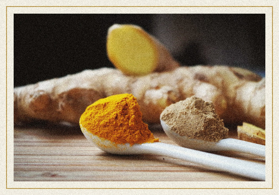 Racine de gingembre, curcuma en poudre et clous de girofle — épices d'Afrique