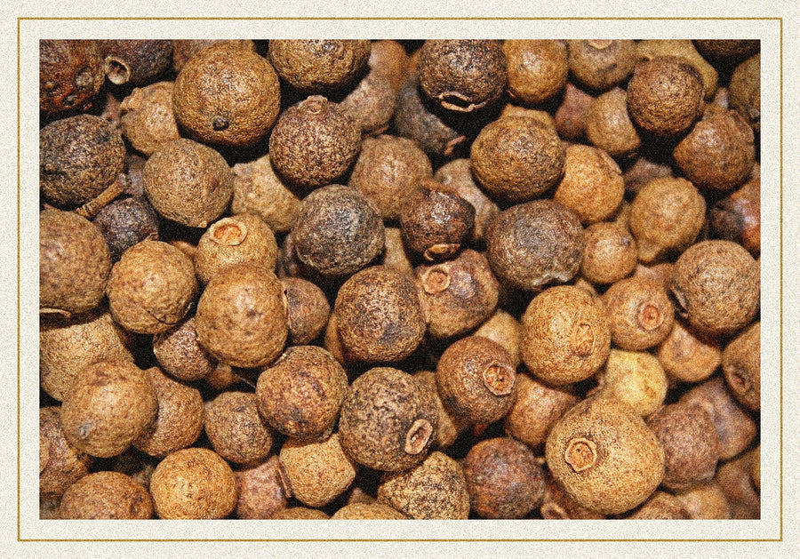 Baies de poivre de la Jamaïque (piment de la Jamaïque) en gros plan — épices d'Amérique