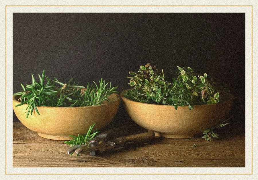 Romarin, thym et origan frais dans des bols en bois — épices d'Europe