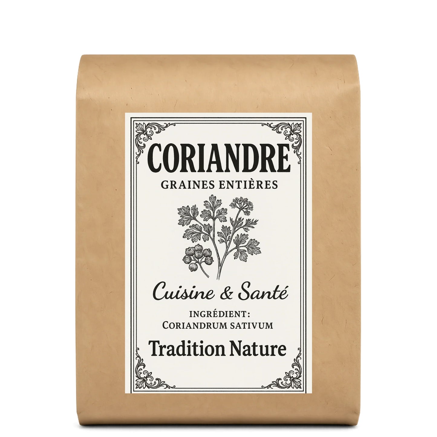 Coriandre graines entières | 100 g à 900 g