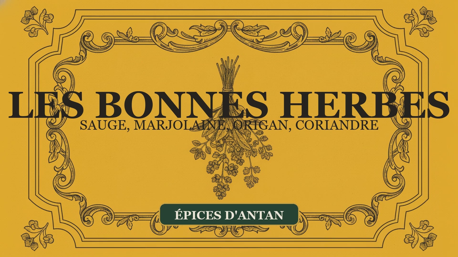 Les Bonnes Herbes : sauge, marjolaine, origan et coriandre — Moutarde & Cie