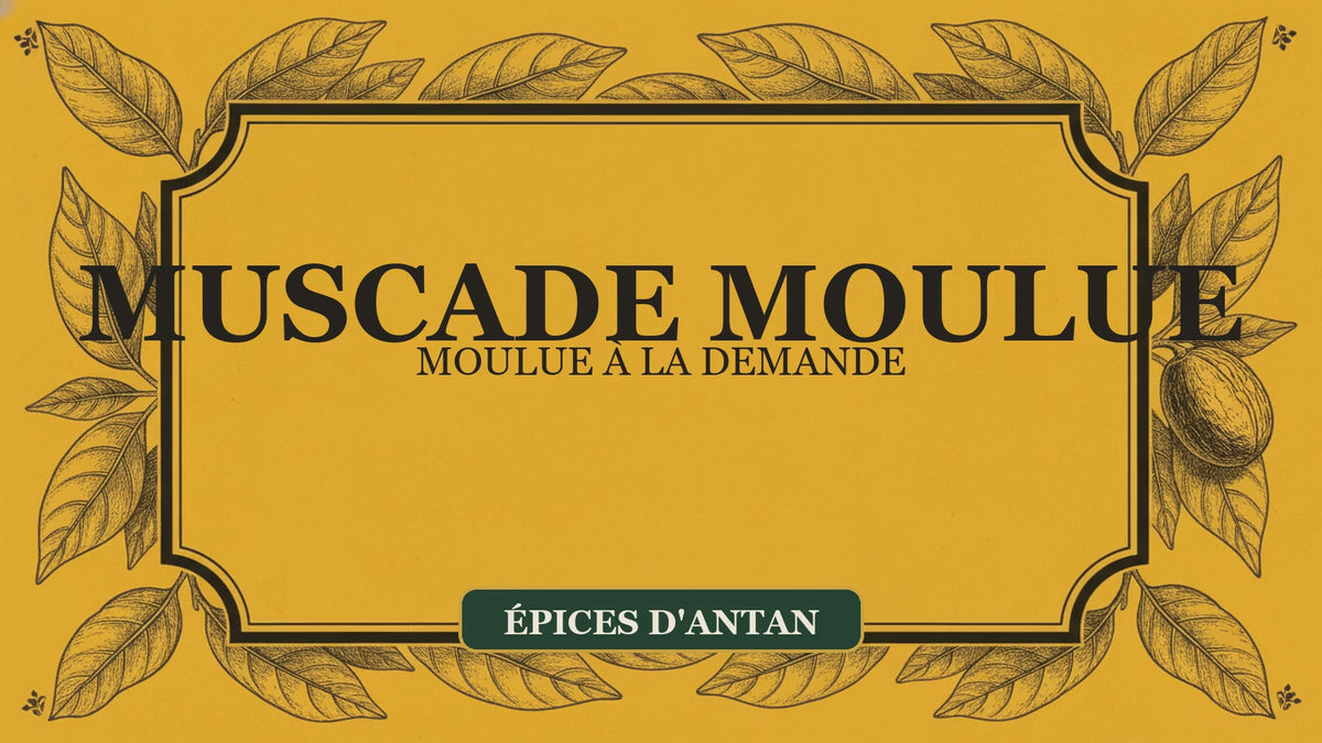 La muscade moulue : origine, usages et conseils de notre atelier — Moutarde & Cie