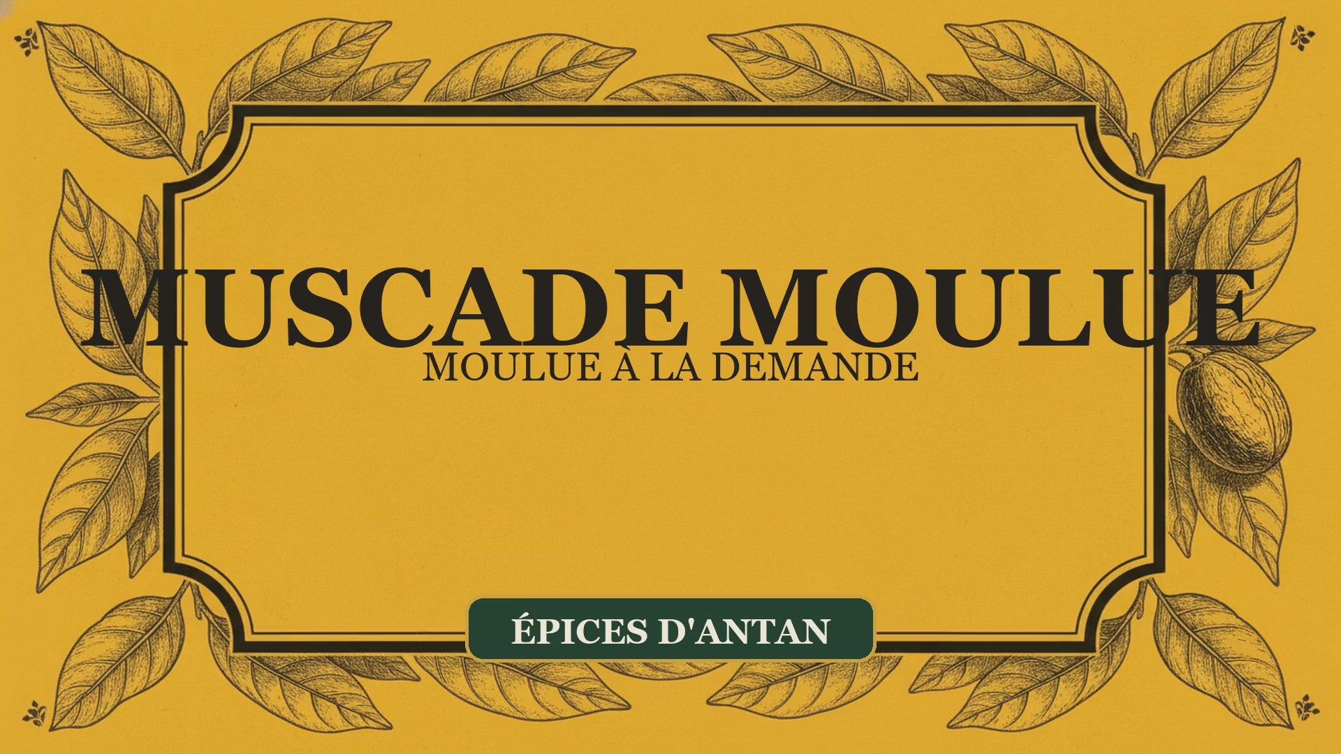 La muscade moulue : origine, usages et conseils de notre atelier — Moutarde & Cie