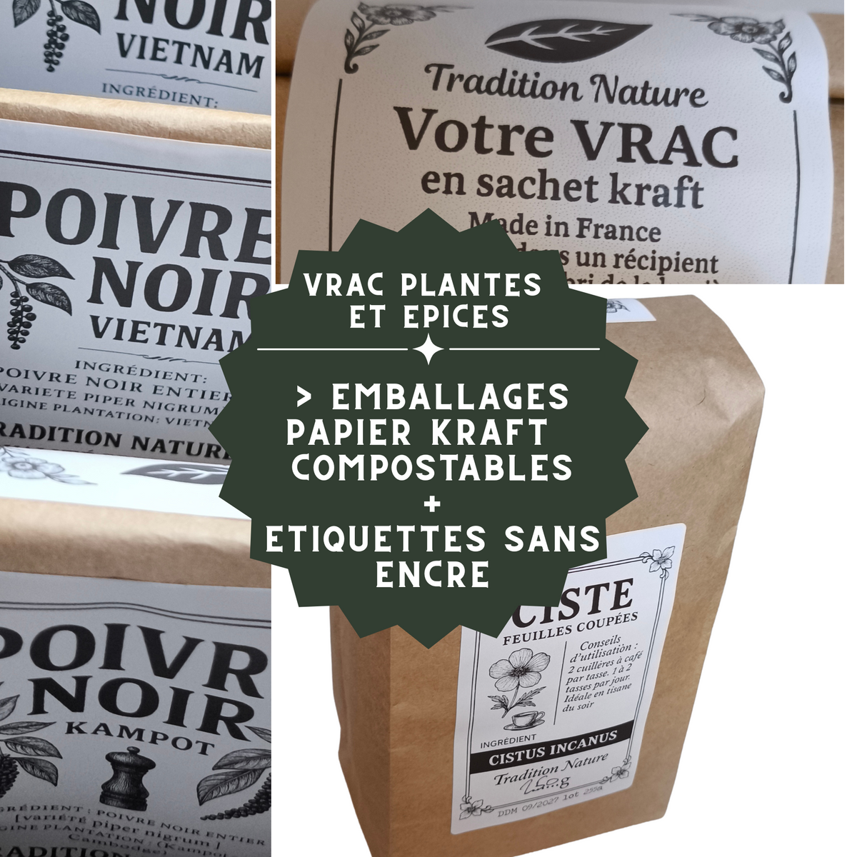 Sauge officinale feuilles coupées | Tisane infusion — Moutarde & Cie