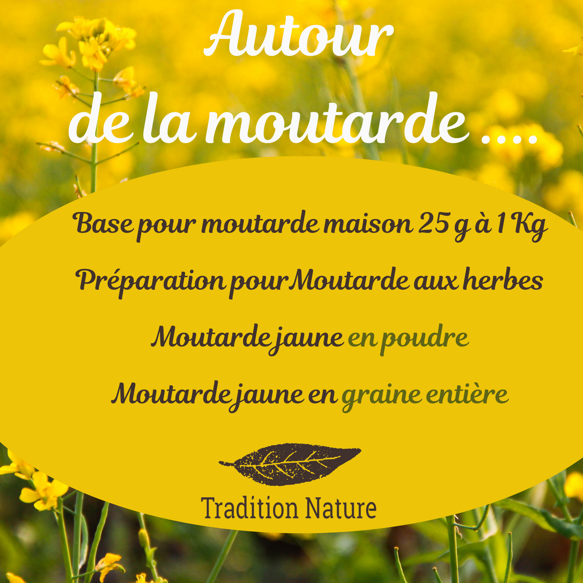 Moutarde jaune en poudre  vrac 100 g 250 g 500 g – Moutarde & Cie
