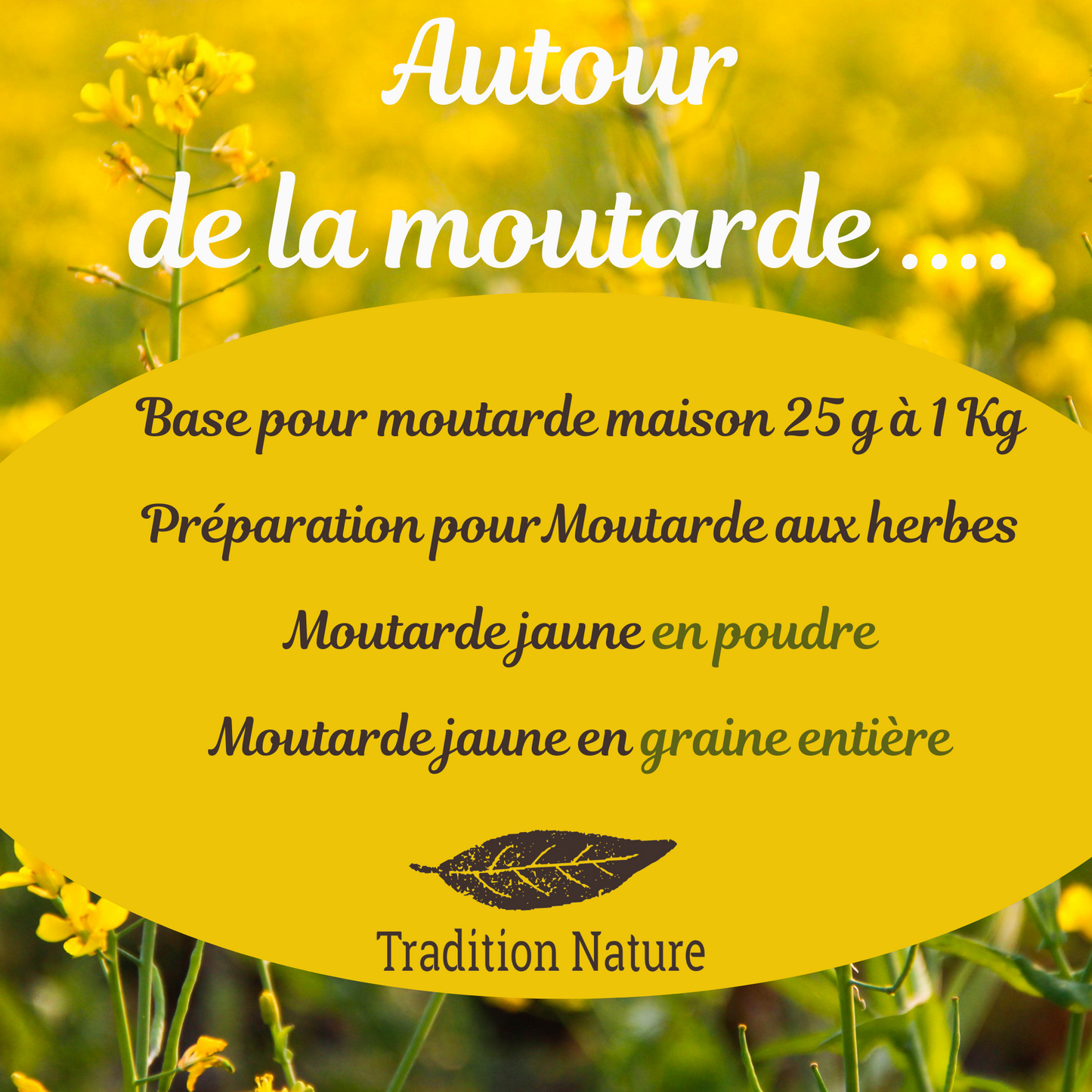 Moutarde graines jaunes – 1kg