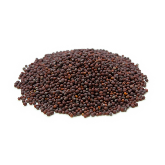 Moutarde brune graines ENTIERES | 100 g à 500 g [Brassica Juncea]