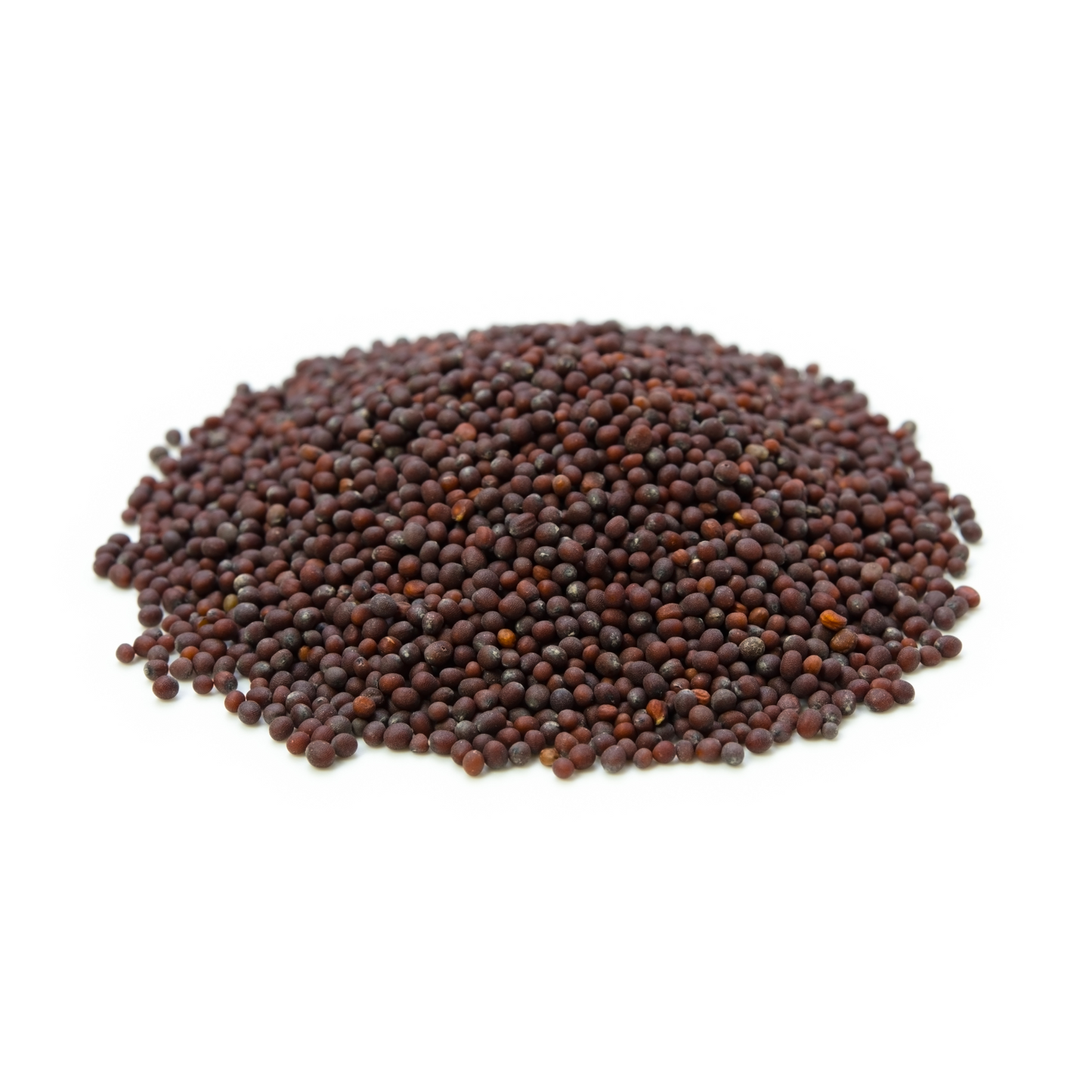 Moutarde brune graines ENTIERES | 100 g à 500 g [Brassica Juncea]