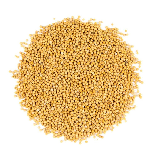 Moutarde blanche graines ** A germer ou cuisiner | 75 g à 1 Kg - Tradition Nature-Bienfaits - Utilisations
