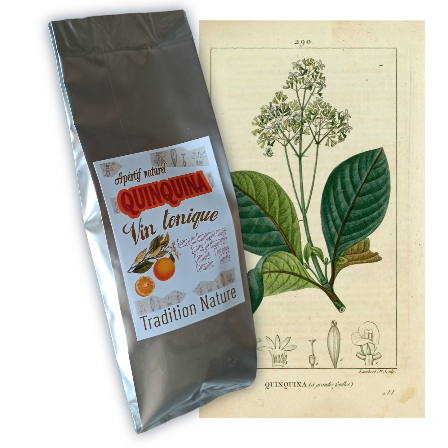 Quinquina | préparation pour apéritif maison tonique | sachet pour 5 litres | Quina kina - Tradition Nature-Bienfaits - Utilisations